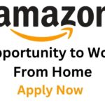 Amazon wfh jobs