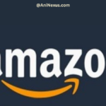 Amazon Great Indian Festival 2024 (Aninexus)