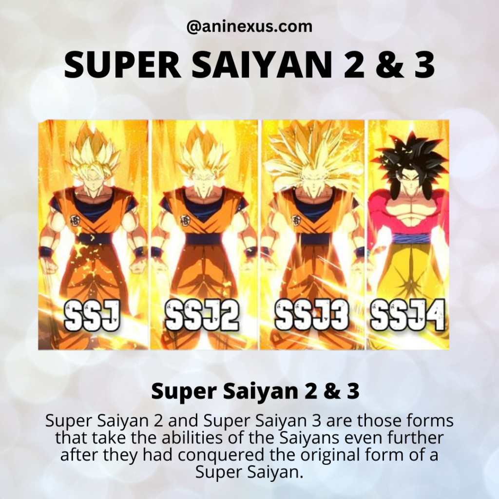 Super Saiyan 2 and Super Saiyan 3