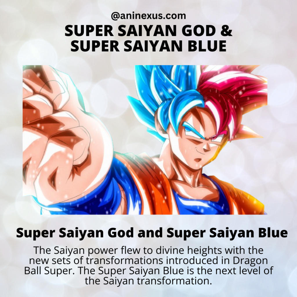 Super Saiyan God and Super Saiyan Blue