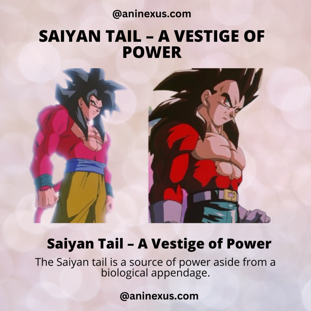 Saiyans Tail